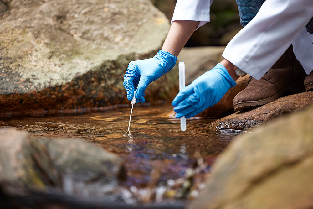 Taking a water sample from a stream